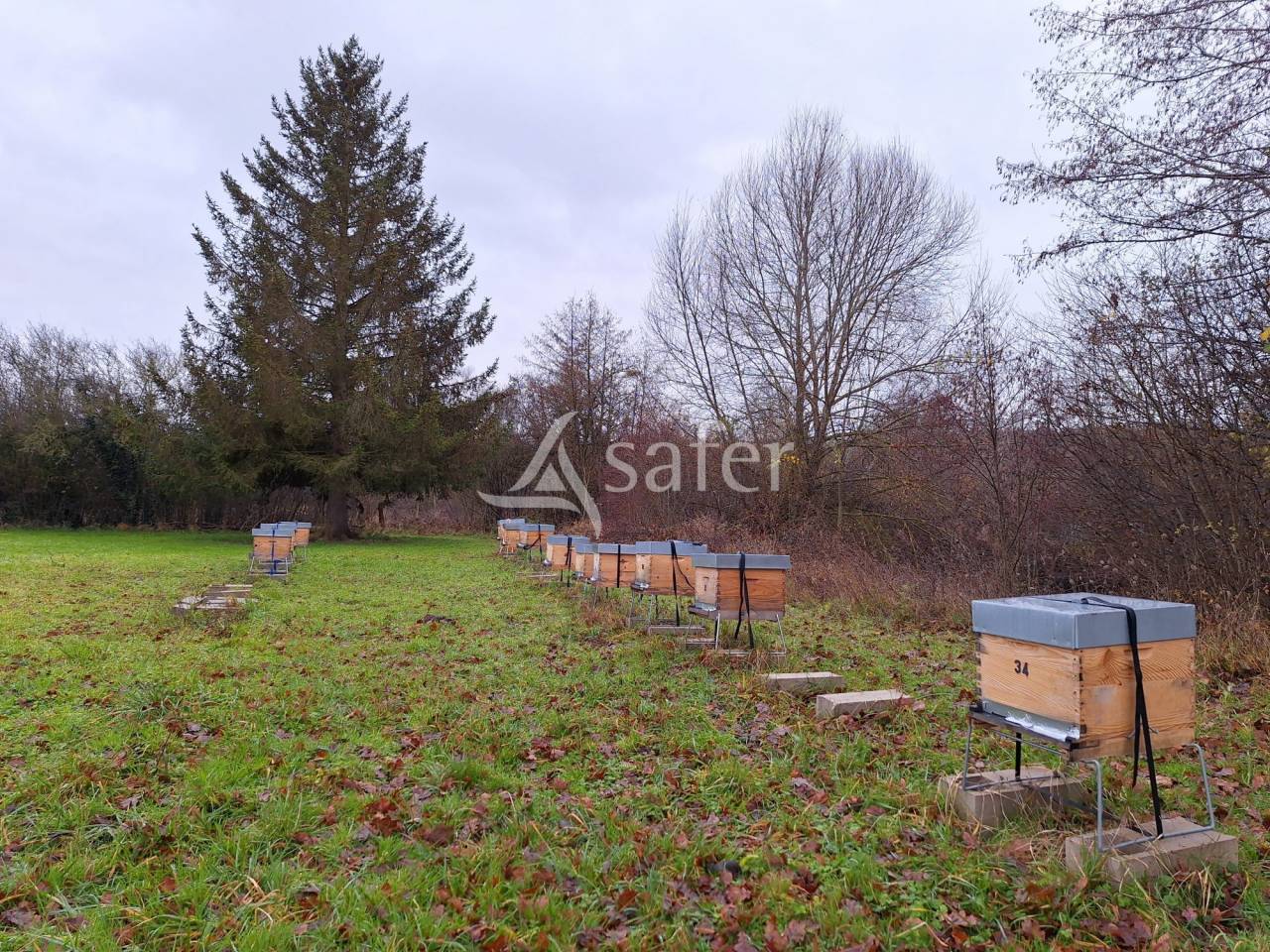 Vegetable farm  Eure-et-Loir