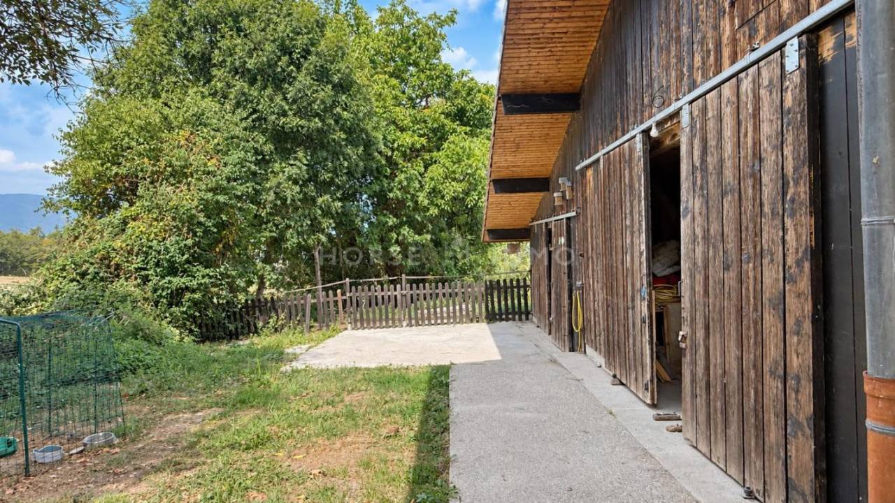 Equestrian property  Haute-Savoie
