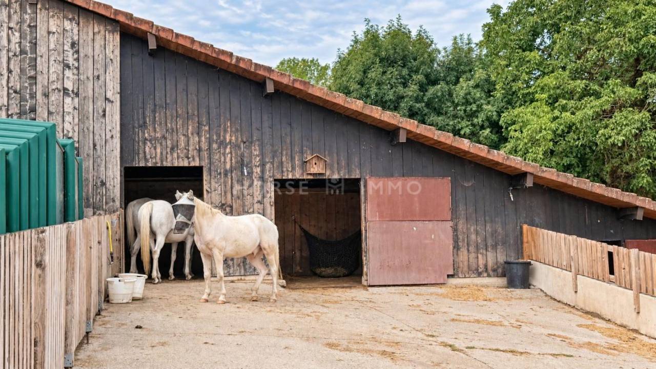 Equestrian property  Haute-Savoie