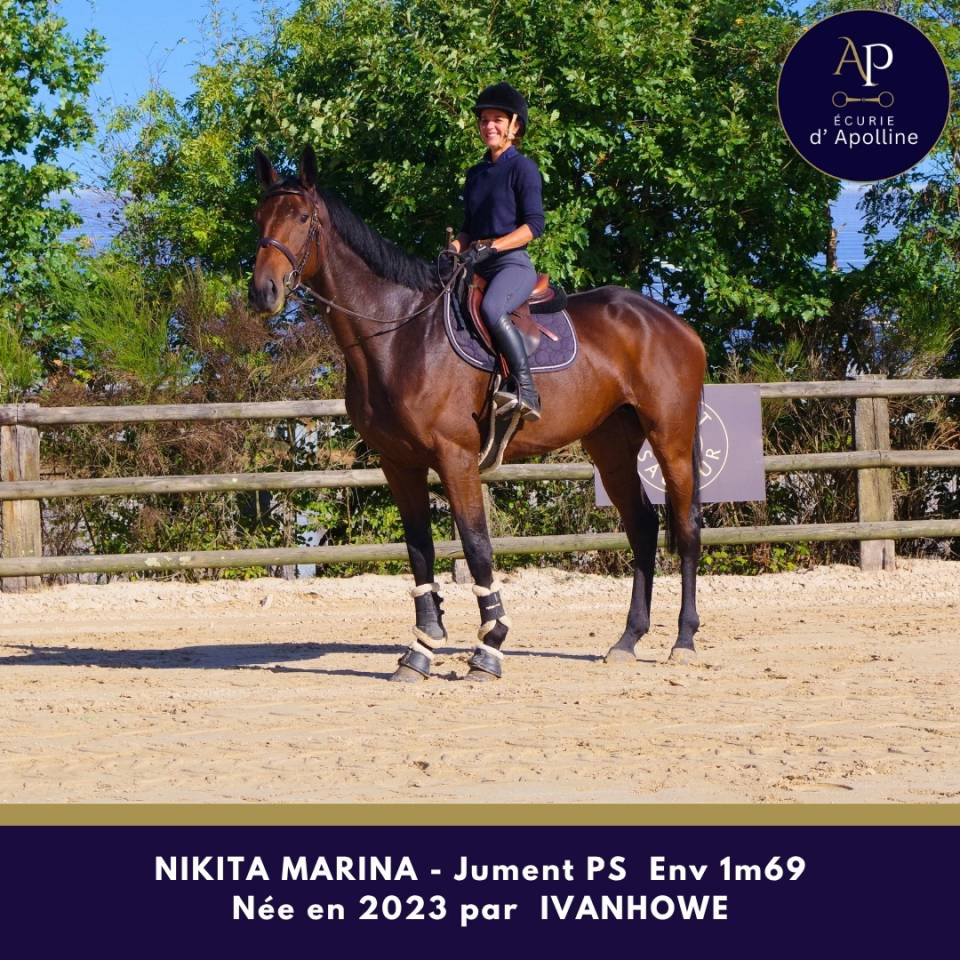 Mare Thoroughbred For sale 2023 Bay