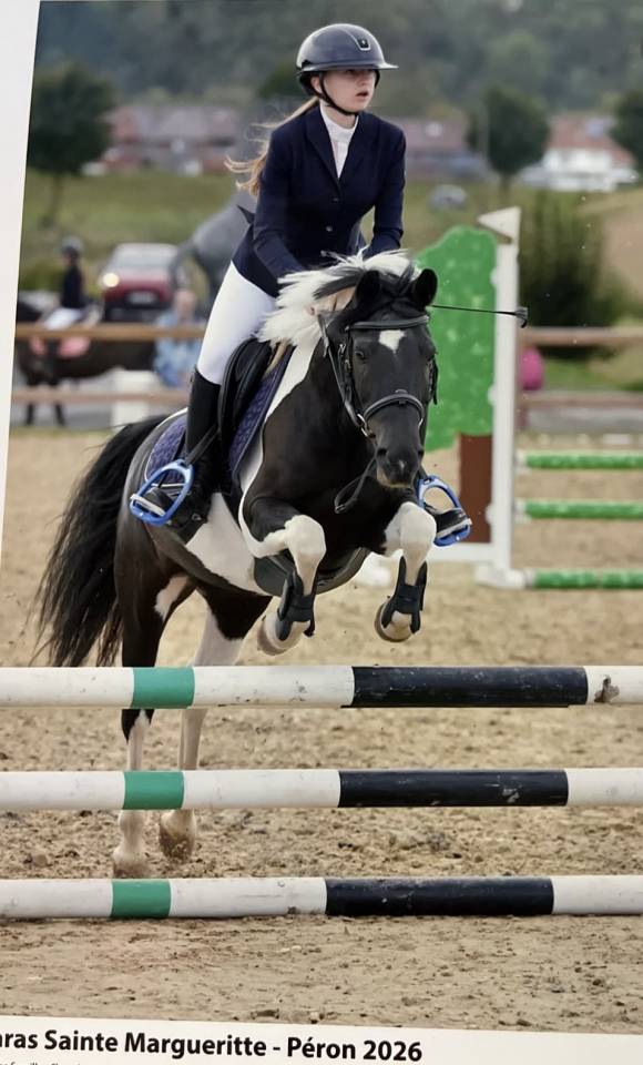 Mare Origin Recorded For loan 2016 Coloured