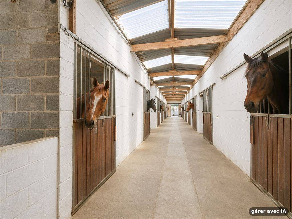 Equestrian property  Brabant wallon