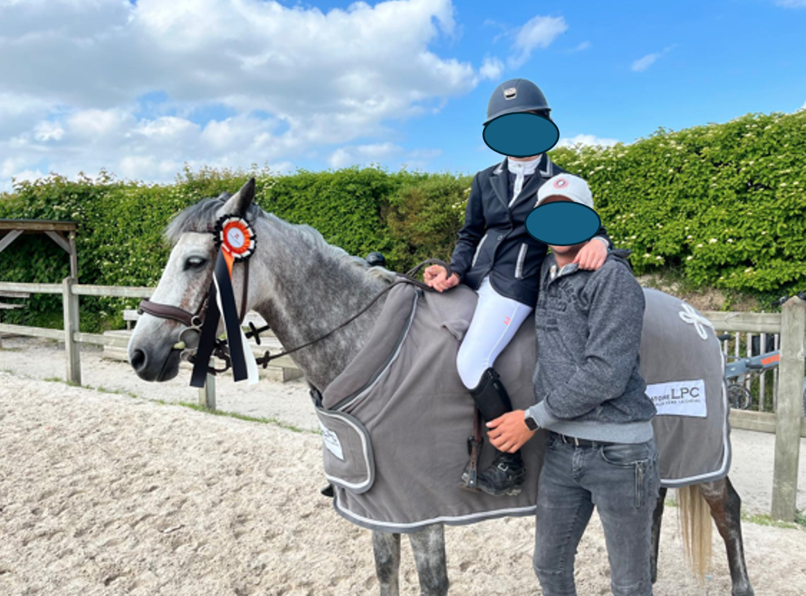 Mare French Saddle Pony For sale 2018 Grey