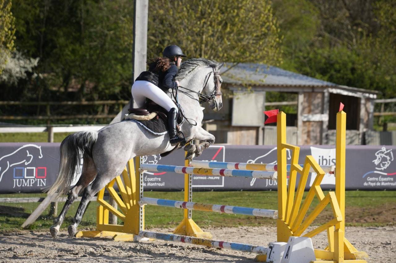 Mare French Saddle Pony For sale 2018 Grey