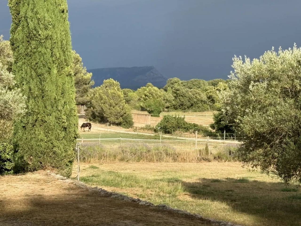 Luxurious equestrian property  Bouches-du-Rh&ocirc;ne