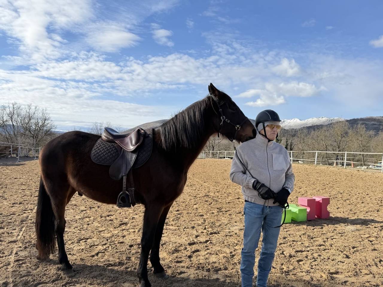 Gelding French Trotter For sale 2018 Bay