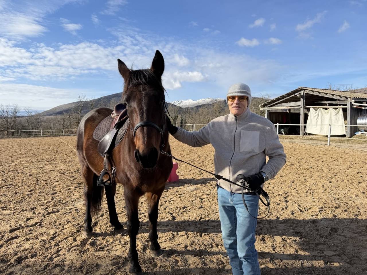 Gelding French Trotter For sale 2018 Bay