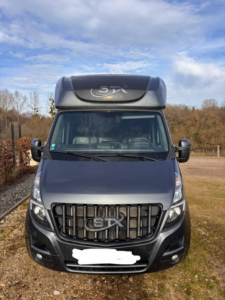Horsebox HGV Opel Movano 2021 Used