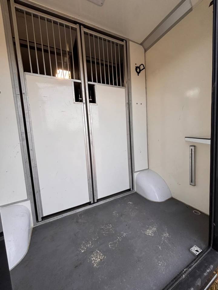 Horsebox HGV Opel Movano 2021 Used