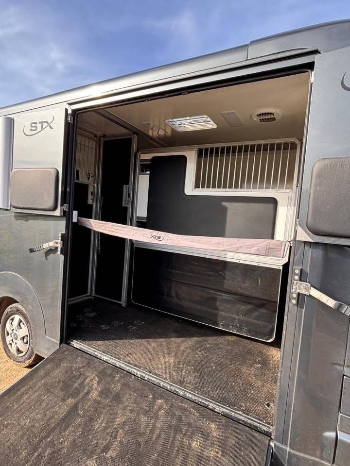 Horsebox HGV Opel Movano 2021 Used