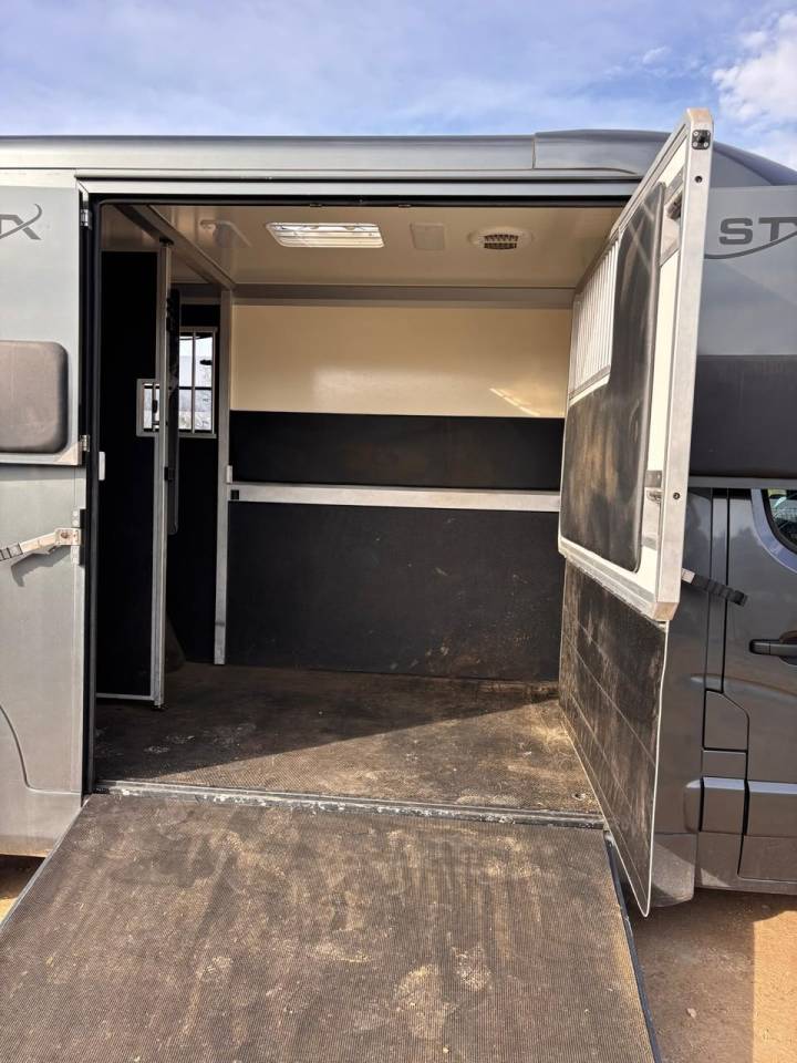 Horsebox HGV Opel Movano 2021 Used