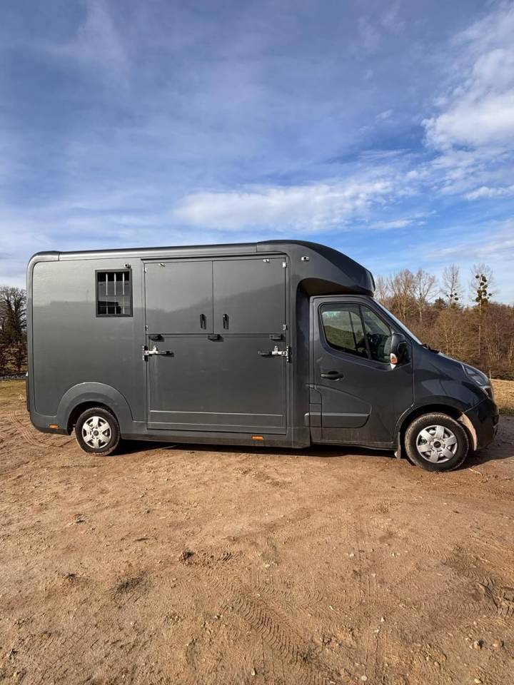 Horsebox HGV Opel Movano 2021 Used