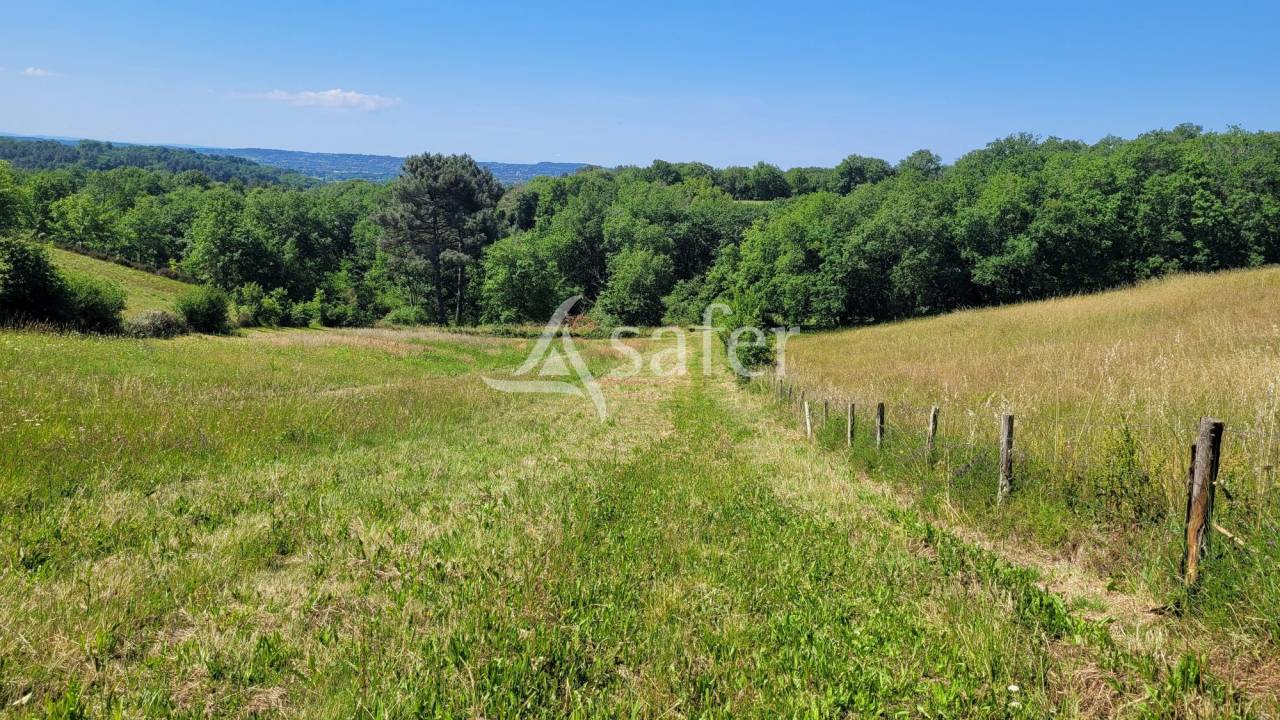 Other country property  tarn