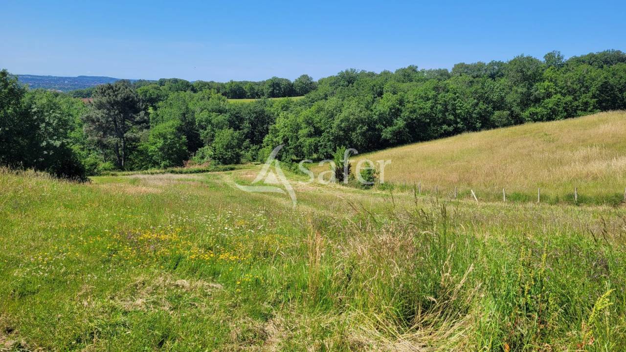 Other country property  tarn