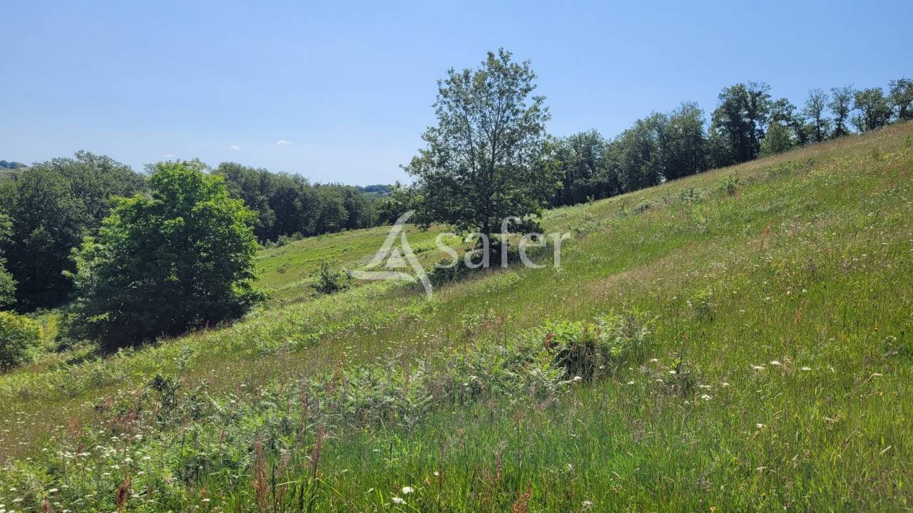Other country property  tarn