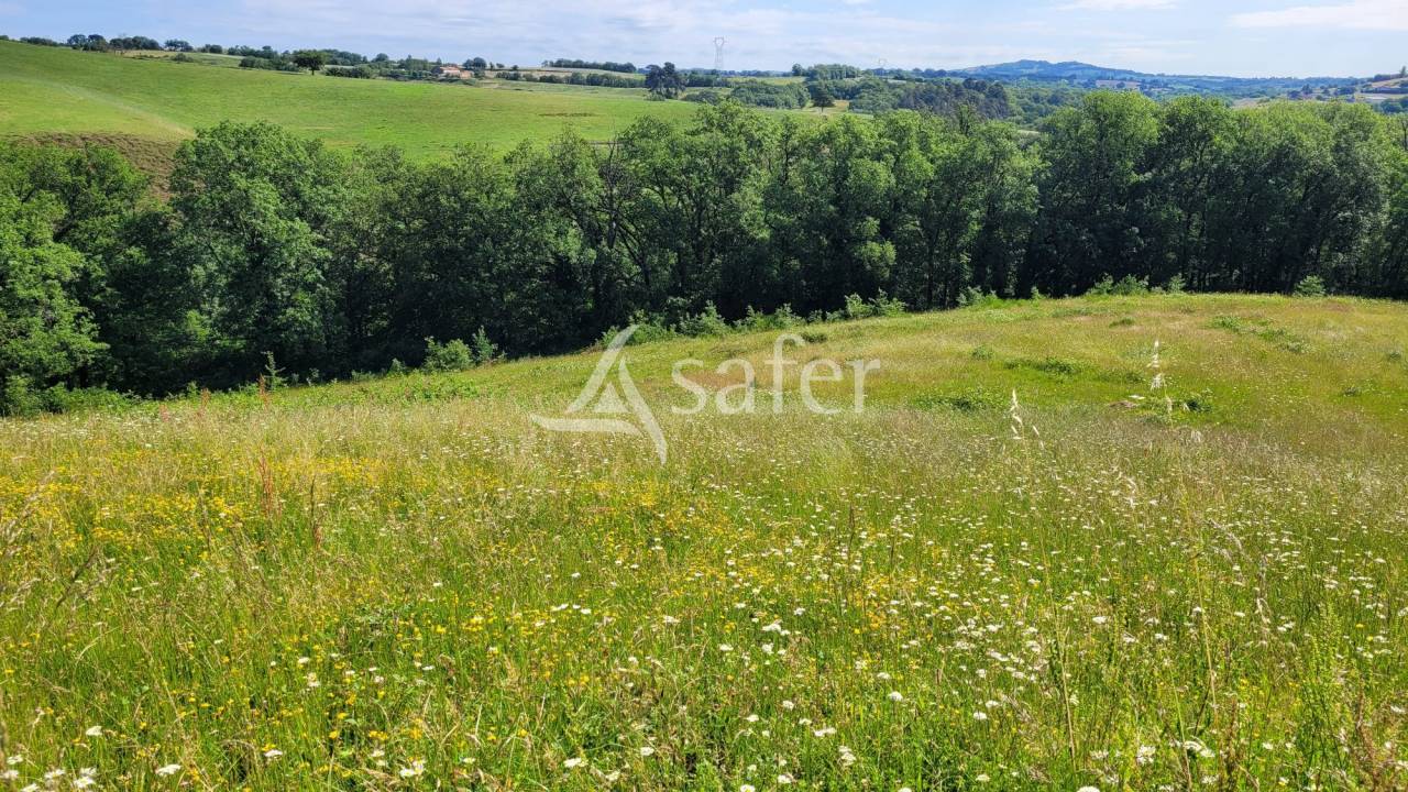 Other country property  tarn