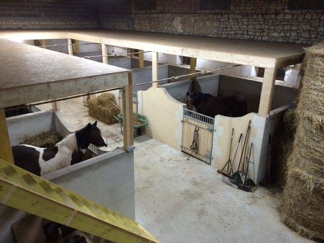 Livery yard  Vienne