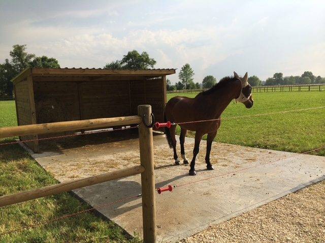 Livery yard  Vienne