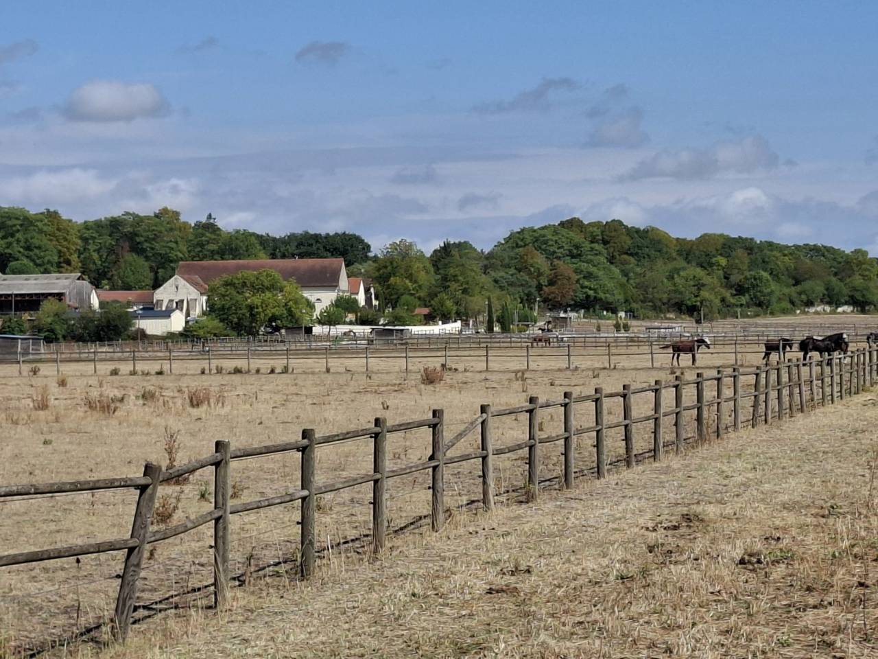 Livery yard  Vienne