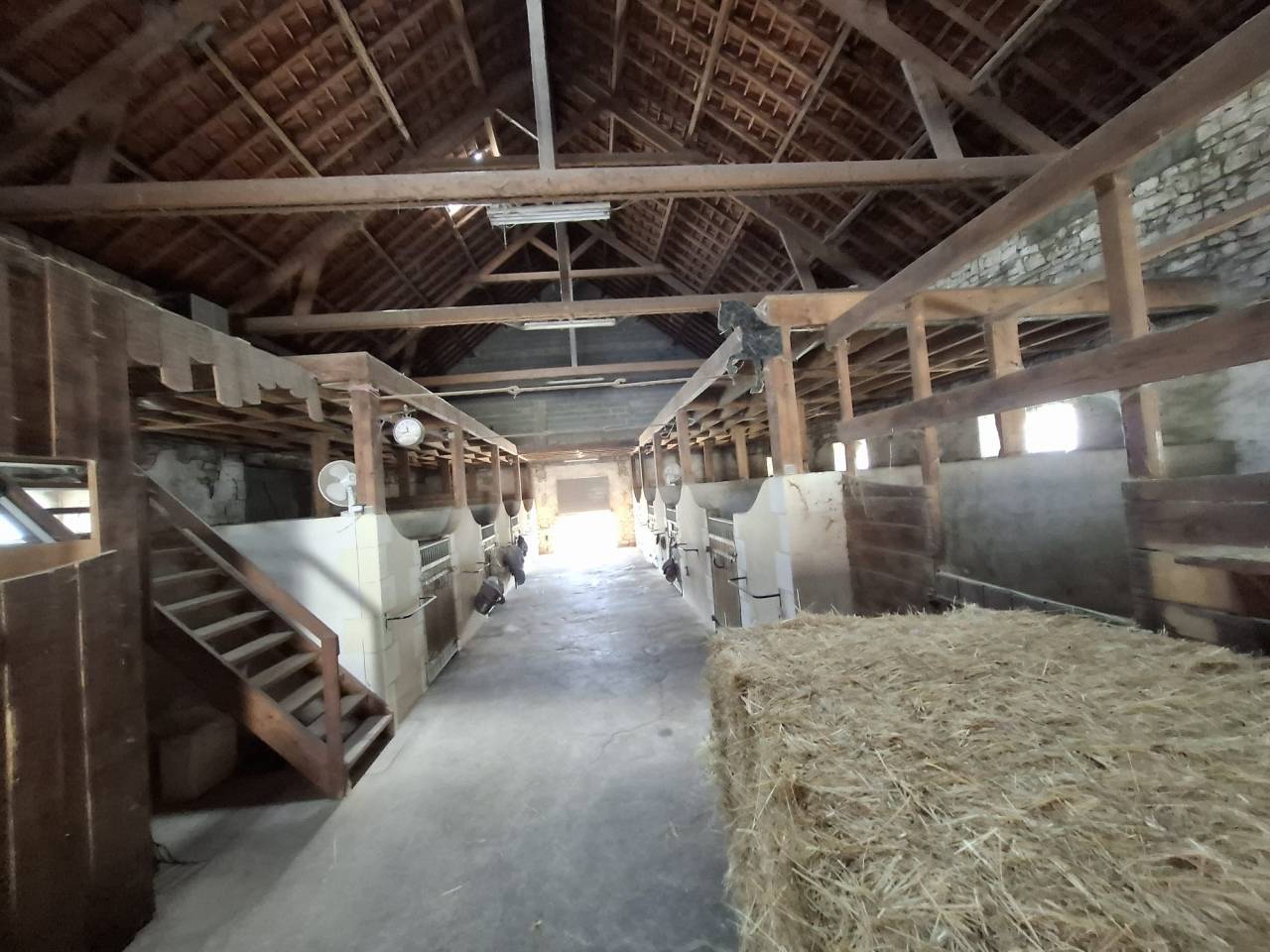 Livery yard  Vienne