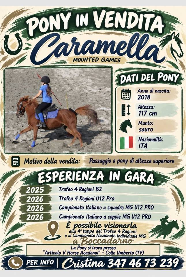Mare Origin Recorded For sale 2018 Chesnut
