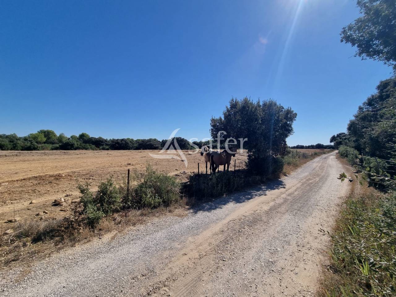 Other country property  H&eacute;rault