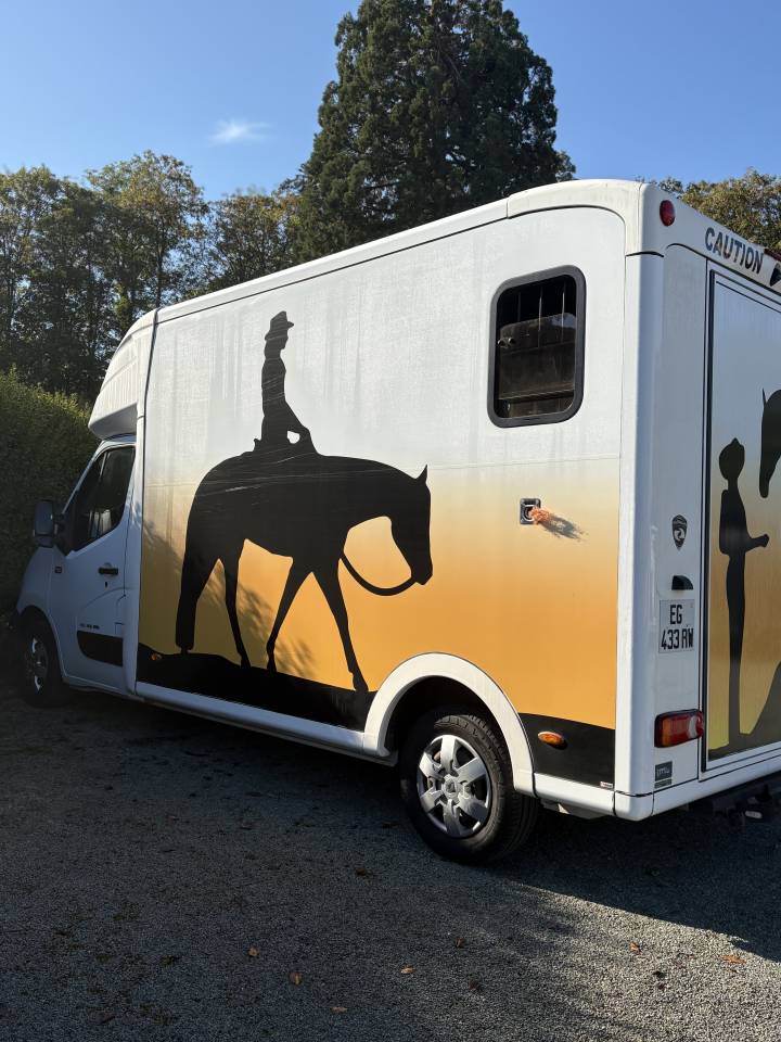 Horsebox HGV Paragan Equistro  2016 Used