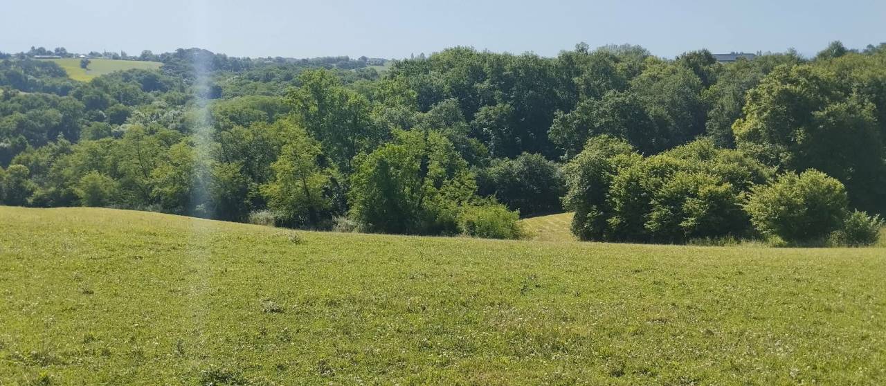 Equestrian property  Landes