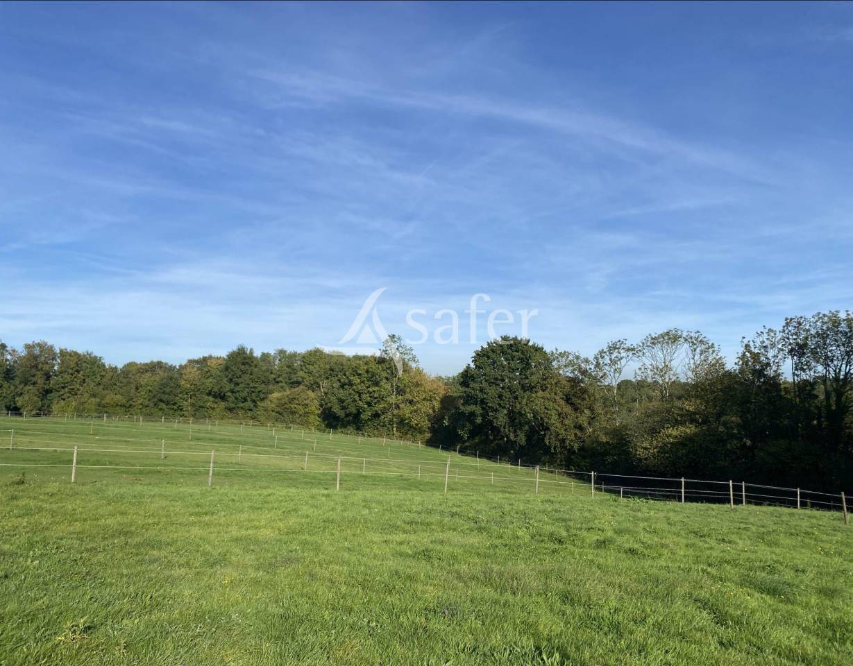 Equestrian property  Calvados