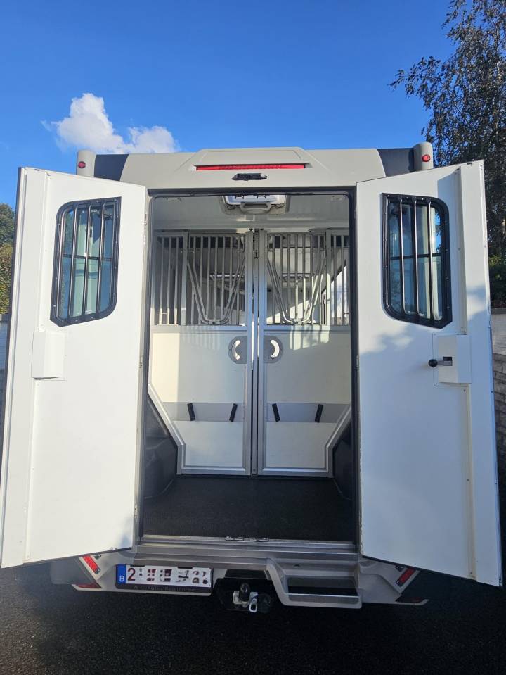 Horsebox HGV Theault Switch 2021 Used