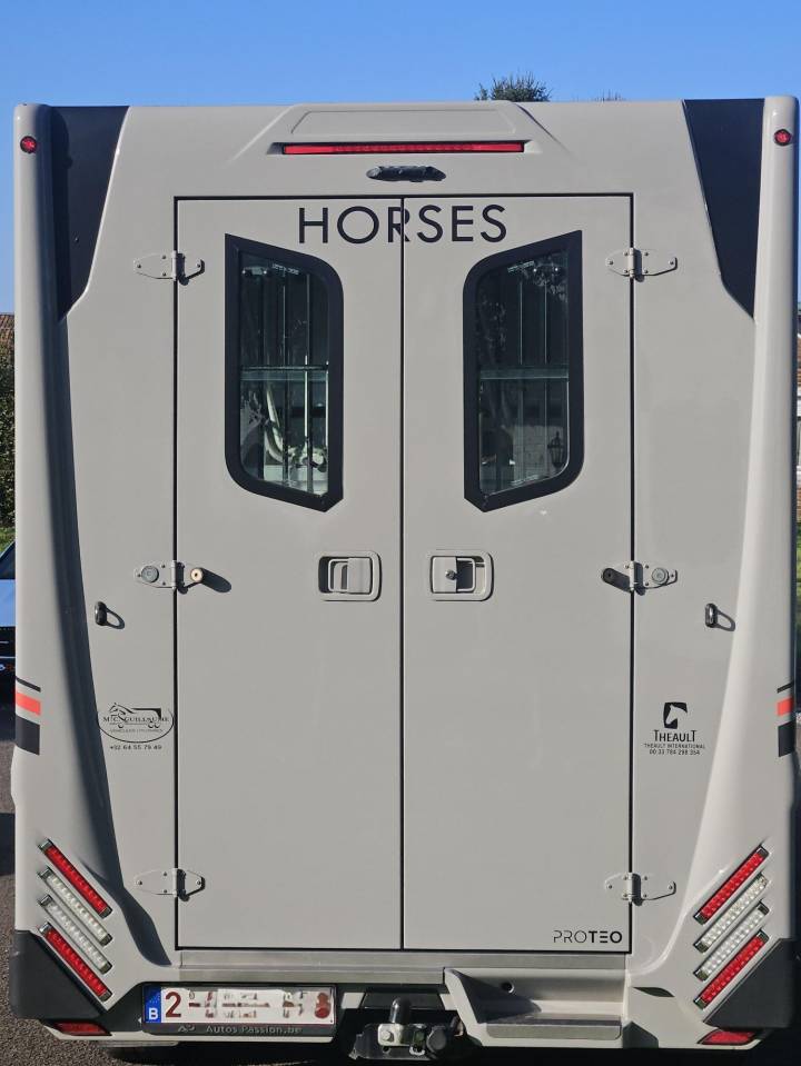 Horsebox HGV Theault Switch 2021 Used