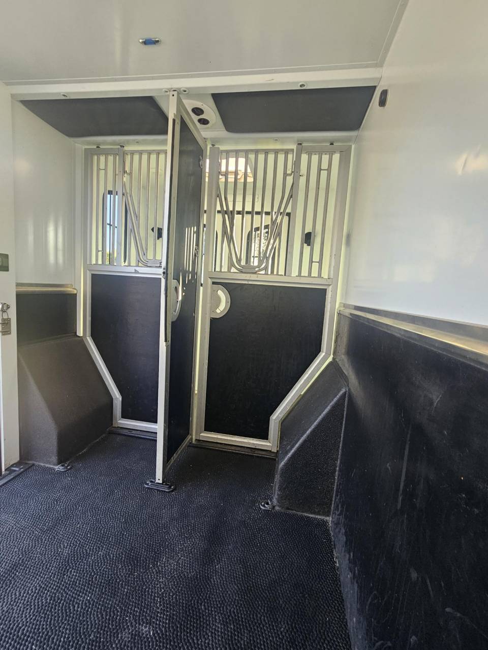 Horsebox HGV Theault Switch 2021 Used