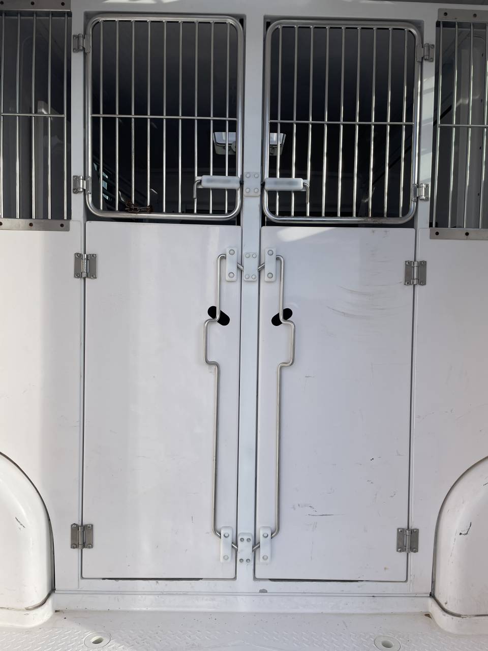 Horsebox HGV Barbot Ducato 2019 Used
