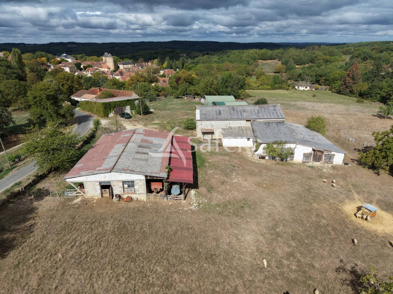 Sheep farm  Lot