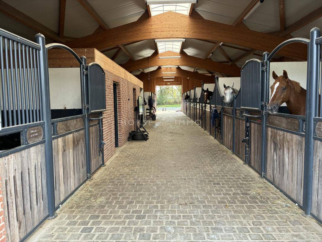 Equestrian property  Calvados