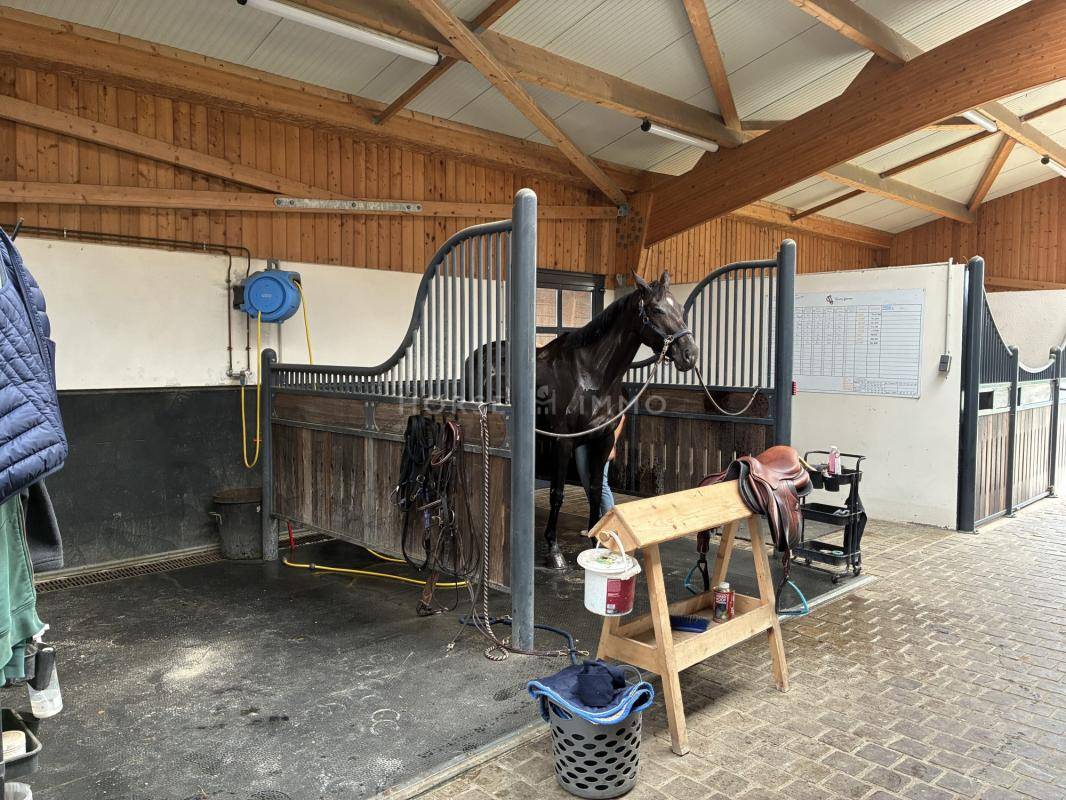Equestrian property  Calvados