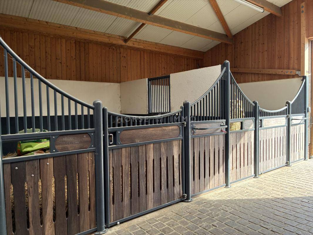 Equestrian property  Calvados