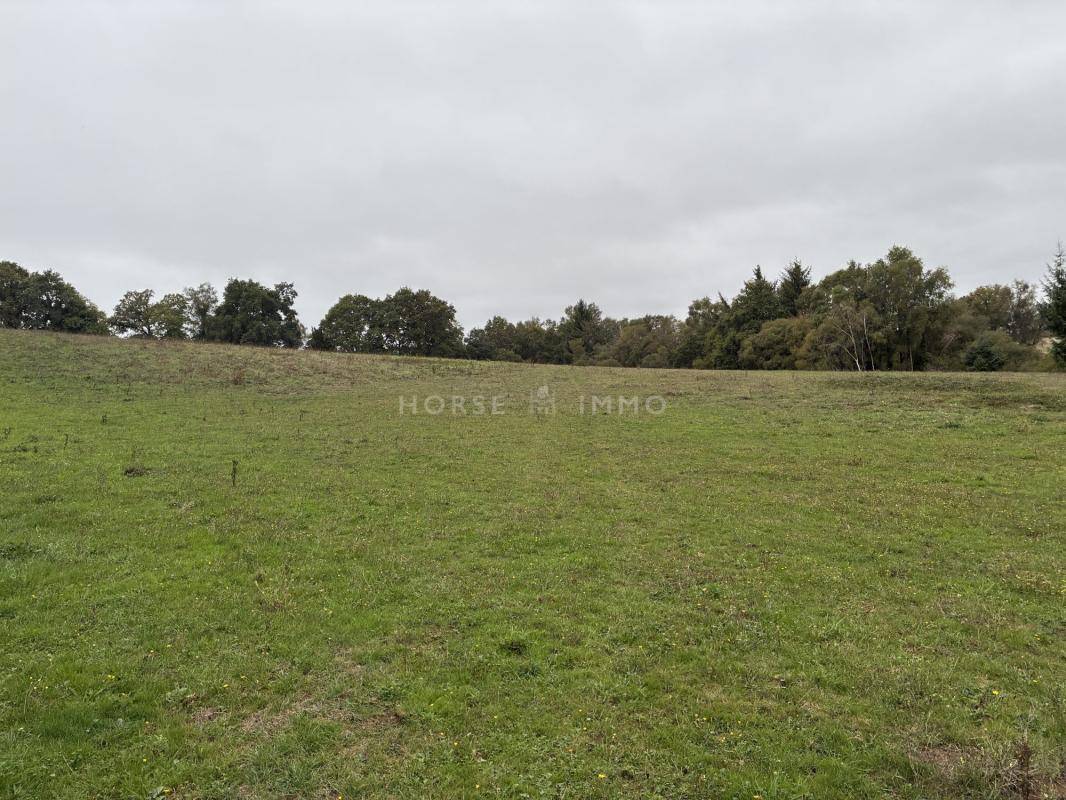 Equestrian property  Morbihan