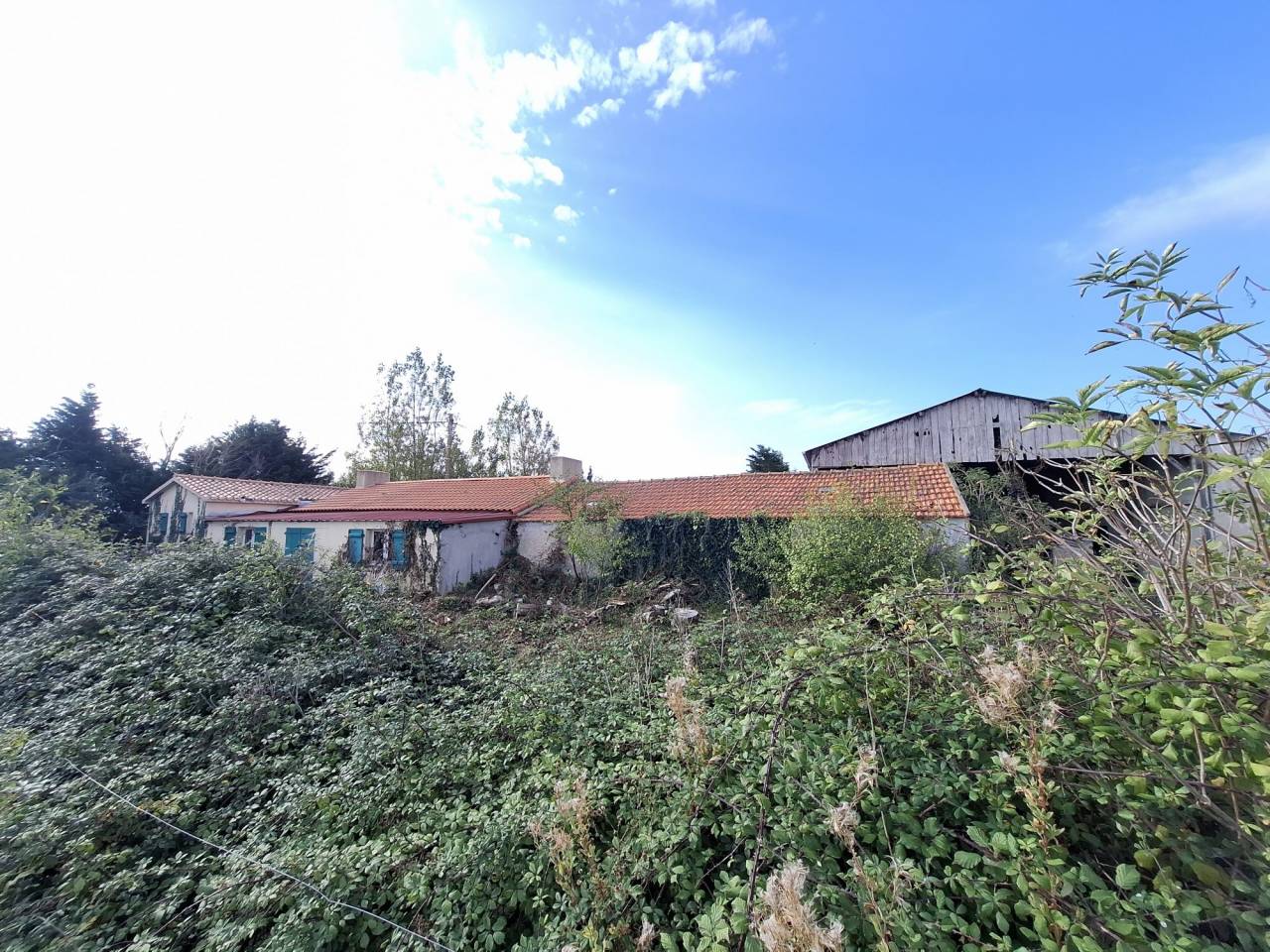 Equestrian Bed and Breakfast  Vend&eacute;e