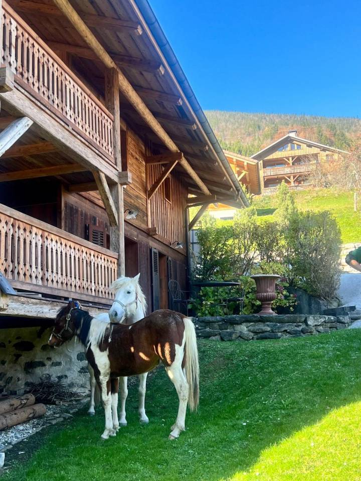 Equestrian property  Haute-Savoie