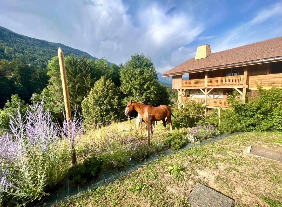 Equestrian property  Haute-Savoie