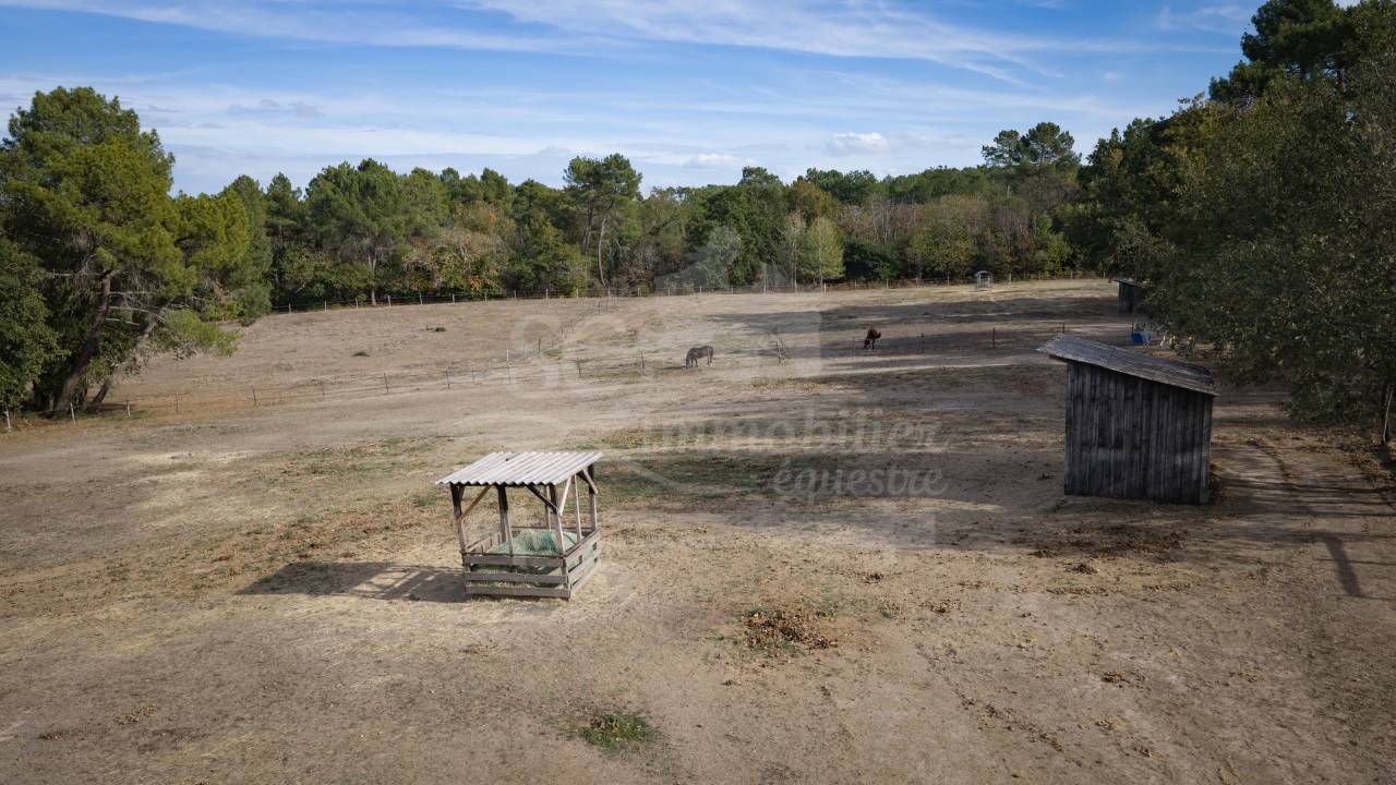 Equestrian property  Dordogne