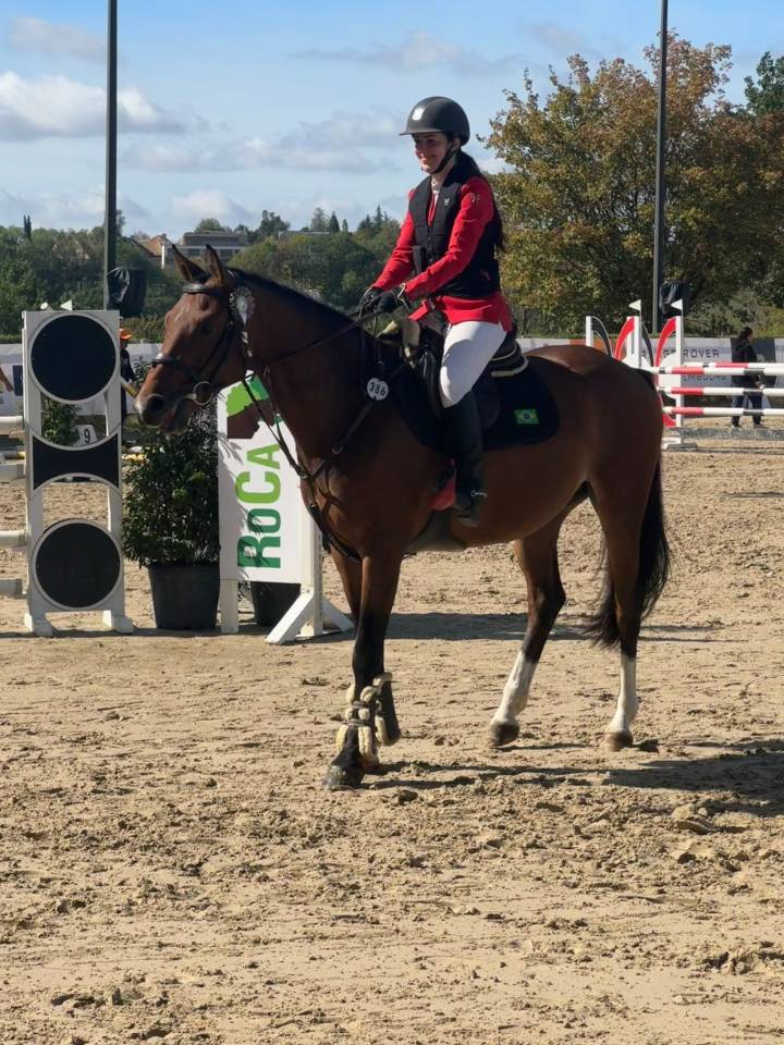Gelding Hanoverian For sale 2022 Bay