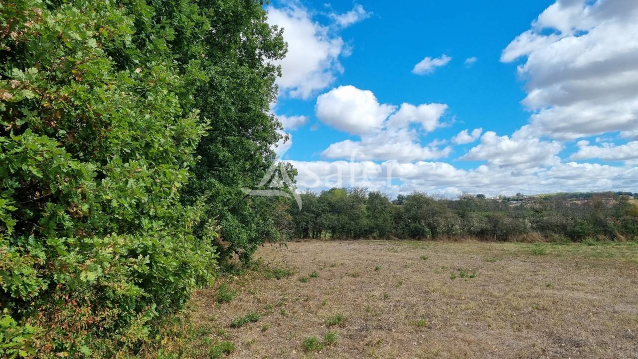 Other country property  tarn