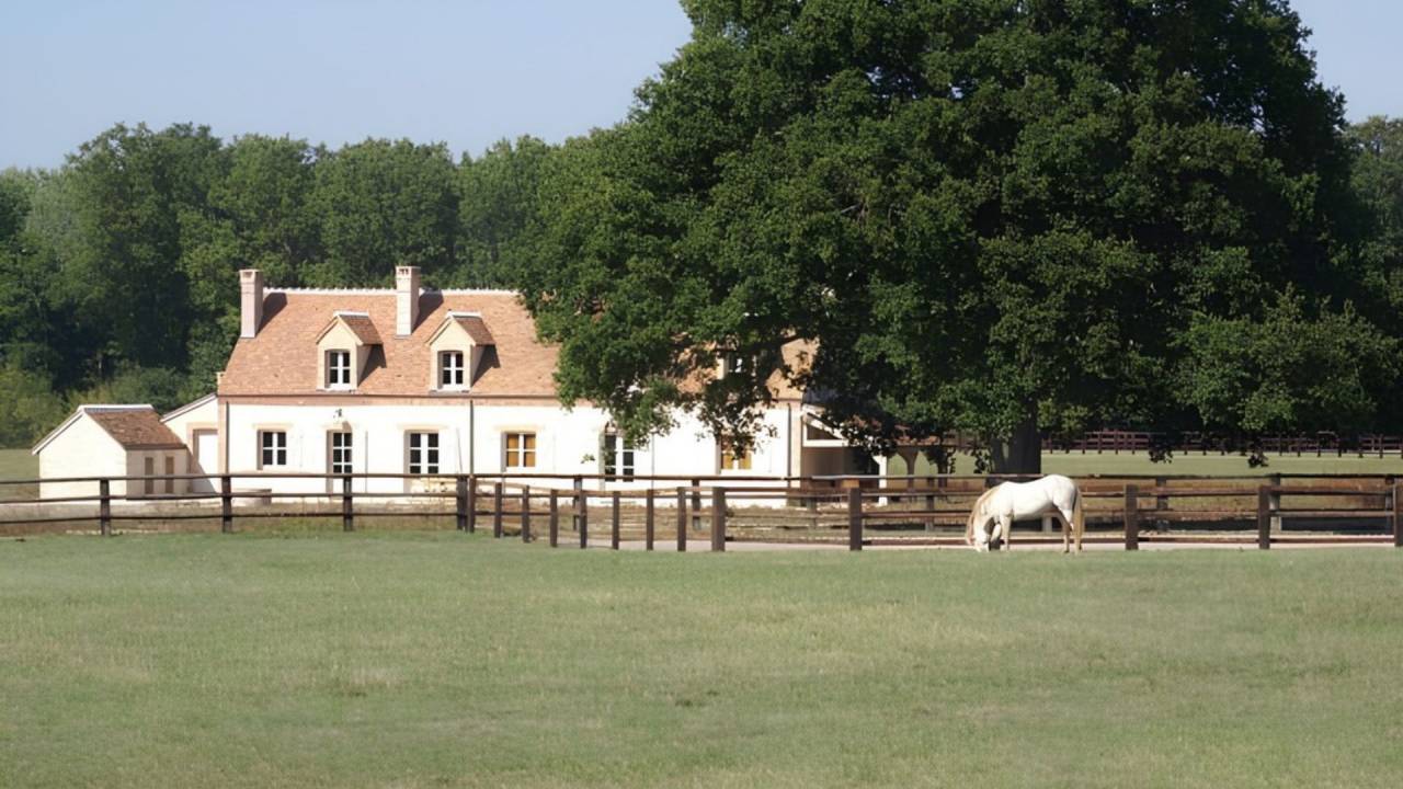 Equestrian property  Loir-et-Cher