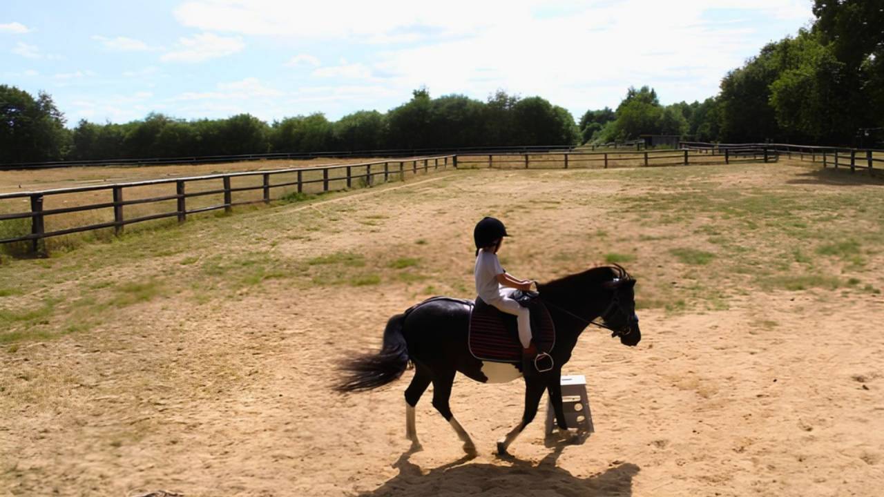 Equestrian property  Loir-et-Cher