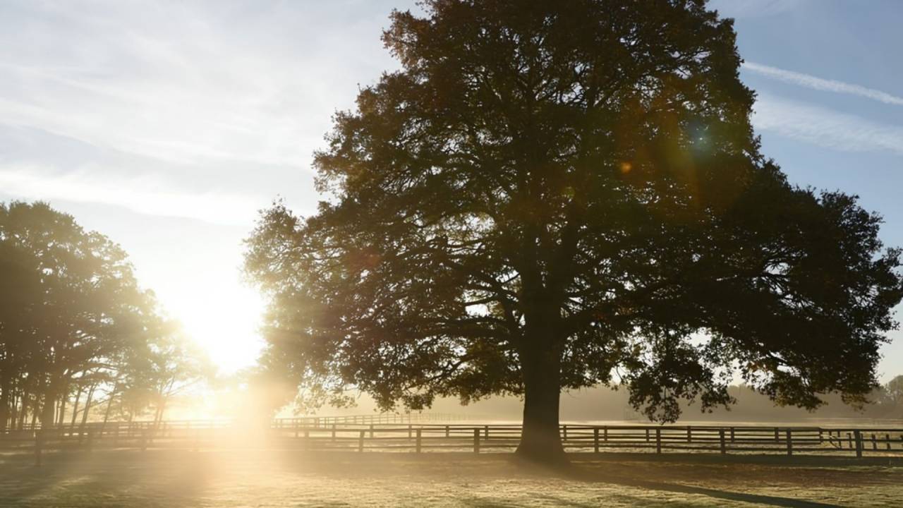 Equestrian property  Loir-et-Cher