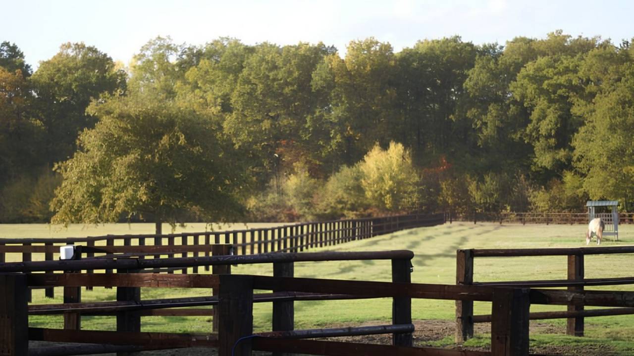 Equestrian property  Loir-et-Cher