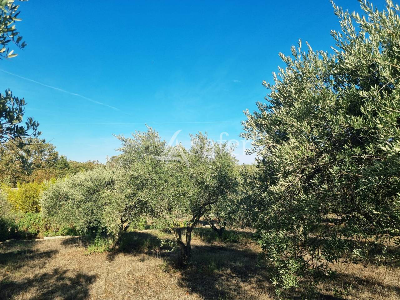 Other agricultural property  Gard