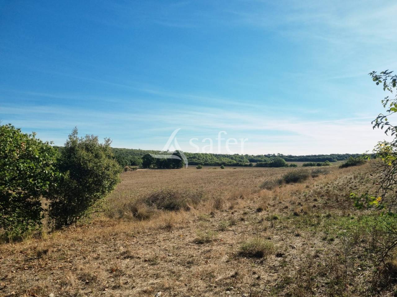 Other agricultural property  Gard